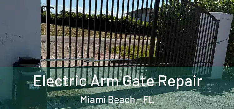Electric Arm Gate Repair Miami Beach - FL