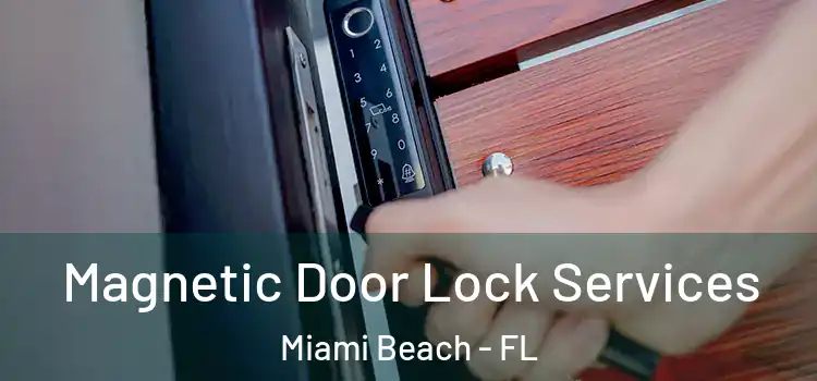 Magnetic Door Lock Services Miami Beach - FL